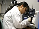 Nos Estados Unidos, pesquisadora do Centro de Controle de Doenças Infecciosas trabalha na descoberta de uma vacina contra a gripe A.  Foto: Reuters