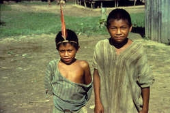 Os índios Matsigenka vivem na Amazônia peruana.Foto: J. Mazower/ Survival