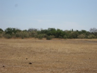 Terras degradadas no norte do Burkina Fasso.  Foto : Ana Carolina Dani
