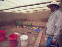 Morador de Pajchiri teve de substituir a pesca, na alimentação da família, pelo plantio de batata, em estufa com "adubo" resultante da poluição do Lago Titicaca.  Foto: RFI