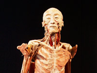 "Our Body"人体展DR