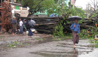 A man walks past an uprooted tree in central YangonPhoto: Reuters