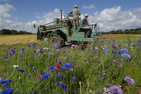 Farming in Europe(Photo :  AFP)