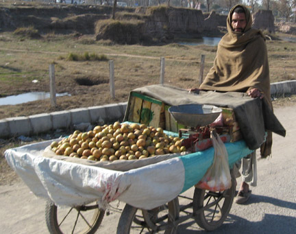 A fruit-seller in a village near Islamabad, February 2008(Photo: Tony Cross)