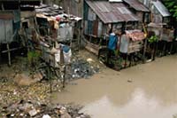 Millions live without proper sanitation