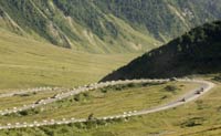 Russian military vehicles drive towards Tskhinvali on August 17(Photo: Reuters)