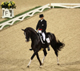 Andreas Helgstrand of Denmark on Don Schufro in the equestrian dressage individual grand prix freestyle, August 2008Photo: Reuters 