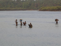 Crossing the river in Quinhamel, Biombo, Guinea Bissau(Photo:Colleen Taugher)