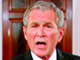 George W Bush spoke via satellite feed.(Photo : Reuters)