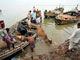 The victims of flooding in Bihar evacuate their cattle.(Photo : Reuters)