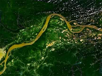 The Amazon river flows through the Amazon rainforest(Photo: NASA World Wind)