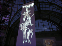 Images by artist Kurt Hentschlager projected below on the roof of the Grand Palais.(Credit: Reuters)