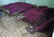 Bodies of victims in Kisumu(Photo: Anna Koblanck)