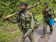 Congolese soldiers on the road north of Goma.(Photo: Reuters)