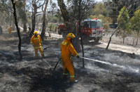 Firefighters at work near Victoria.(Photo : Reuters)