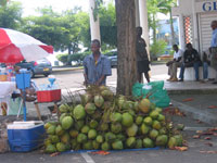 a man prepares coconuts for a crowd that never showed up(Photo: Sarah Elzas)