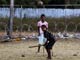 Boys who escaped a Tamil Tigers rebel-held area play cricket at a temporary refugee camp in Vavuniya(Credit: Reuters)
