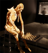 The chess player(Photo: Organisers)