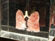 A pair of lungs(Photo: Organisers)