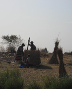Bozo woman pounding millet(Photo: Daniel Brown/RFI)