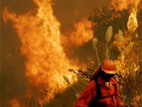 A fire fighter faces a blaze in Texas.(Photo: AFP)