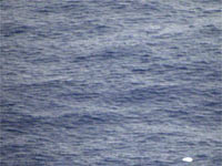 A view from the window of a Brazilian Air Force plane showing a piece of debris from flight 447 (Credit: Reuters)