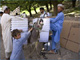 Election preparations: a donkey loaded with ballot boxes in a village in northeastern Badakhshan province, 15 August 2009(Photo: Reuters)