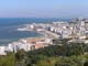 The coast of Algiers, as seen from the basilica of Our Lady of Africa.(Photo : Wikipedia)