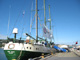 The flagship Greenpeace vessel, the Rainbow Warrior, docked in Wellington, New Zealand.