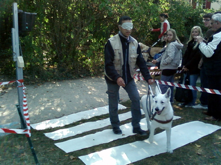 A dog guides a trainer through an obstacle course at the Paris guide dog school
(Photo: Sarah Elzas)