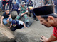 Rescue workers search for victims of an earthquake in Cikangkareng,  Indonesia, 3 September 2009.(Photo: Reuters)