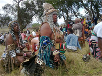 Zulu Sangomas (traditional practicioners) in South Africa(Credit: Wikipedia/Wizzy)
