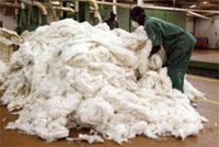 A cotton processing factory in Cote d'Ivoire(Photo: AFP)