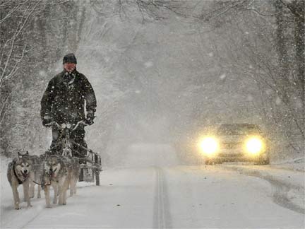 Briton Shane Wilkinson takes his Siberian Huskies Molly, Zia, Nikita, and Ash out on a training run in the snow in Wilton, Wiltshire, southern England(Photo: Reuters)