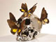 <em>Skull with Butterflies</em>, by Philippe Pasqua(© J. Brunelle/Adagp, Paris 2010)
