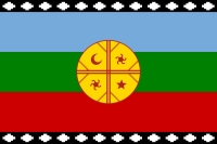 Bandera mapuche.Foto de Archivos
