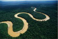 Selva amazónica peruana©veoverde.com