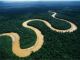 Selva amazónica peruana©veoverde.com