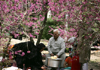 سیزده بدر یک خانوادۀ ایرانی در یکی از پارکهای تهران.(عکس: ایسنا)
