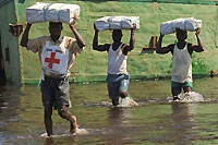 ارسال مواد غذایی، بخشی از فعالیت های صلیب سرخ است.(عکس: AFP)