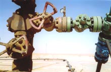 Installations pétrolières et gazières à Hassi Messaoud (sud algérien). 

		(Photo Sylvain Biville/RFI)