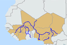 [<A href="article_27674.asp">Voir la carte détaillée</A>]<BR>Le fleuve Niger traverse la Guinée, le Mali, le Niger, le Bénin et le Nigéria; ses affluents arrosent le Burkina Faso, la Côte d'Ivoire, le Cameroun et le Tchad. 

		(Carte : Darya Kianpour/RFI)
