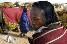 Lors de sa visite à  N’Djaména, dimanche, le président soudanais Omar el-Bechir a promis d'aider les 670 000 déplacés à regagner leurs villages mais les habitants du Darfour, réfugiés au Tchad, hésitent à rentrer chez eux, parce qu'il craignent toujours les attaques des Janjawid. 

		(Photo AFP)