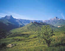 Paysage de montagnes au Kwazulu Natal. 

		(Photo: South African Tourism)
