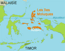 La province indonésienne des Moluques 

		(Carte : Stéphanie Bourgoing/RFI)