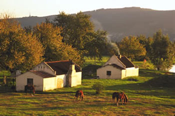 L'industrie du vin génère près de 10% de la richesse de la province du Western Cape. 

		(Photo: South African Tourism)