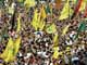 Manifestation du Hezbollah en faveur de l'opposition chiite d'Irak, le 21 mai 2004 

		AFP