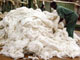 Les subventions américaines sur le coton entravent les exportations des pays en développement.(Photo : AFP)