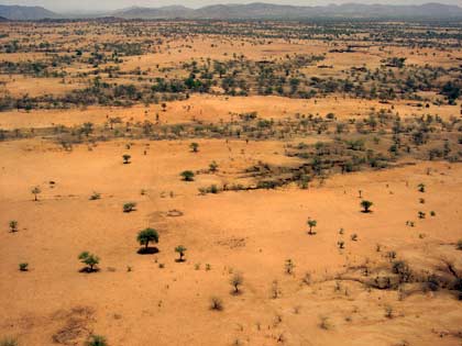 Le Darfour est situé à l’Ouest du Soudan. Divisé en trois Etats (Nord, Sud, Ouest)&nbsp;depuis 1989, il couvre une superficie aussi vaste que la France. 

		(Photo: Laurent Correau/RFI)