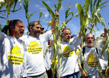 L'ancien porte-parole de la Confédération Paysanne, José Bové; le député-maire vert de Bègles, Noël Mamère (3e gauche) et le fondateur du «collectif des faucheurs d'OGM» Jean-Baptiste Libouban. 

		(Photo : AFP)